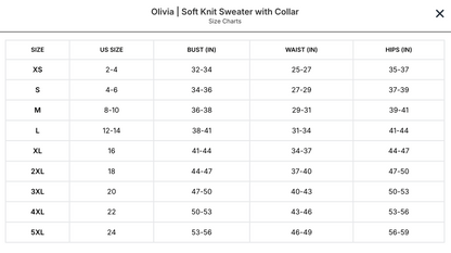 Olivia | Soft Knit Sweater with Collar