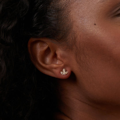 Seliora Vynthalis Cascade