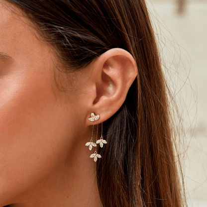 Seliora Vynthalis Cascade