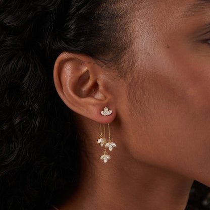 Seliora Vynthalis Cascade