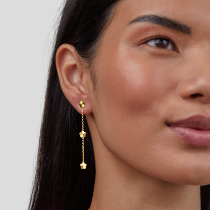 Lunareth Virelle Cascade